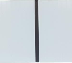 White Silver Strip PVC Ceiling Cladding