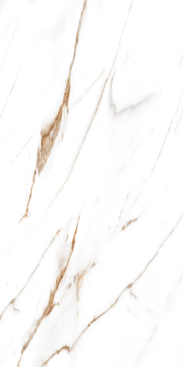 48.96 SQM Pallet Deal: Canna white Gloss Porcelain 60x120cm Tiles - Image 9