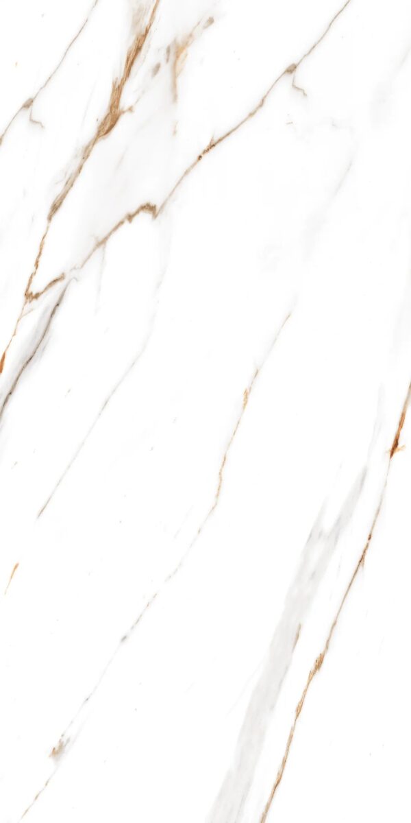 48.96 SQM Pallet Deal: Canna white Gloss Porcelain 60x120cm Tiles - Image 8