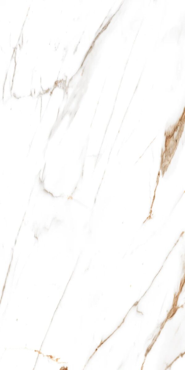 48.96 SQM Pallet Deal: Canna white Gloss Porcelain 60x120cm Tiles - Image 7
