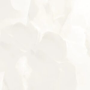 48.96 SQM Pallet Deal: Cloud Onyx Gloss Porcelain 60x120cm Tiles