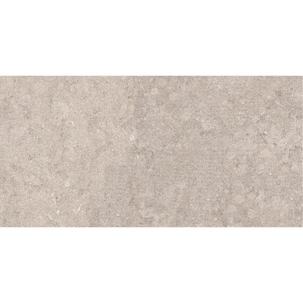 Belgium 60x120x2 Grey Matt R11