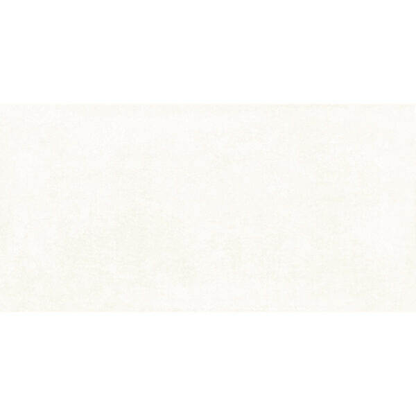 Everest 60x120 Blanco Matt R10
