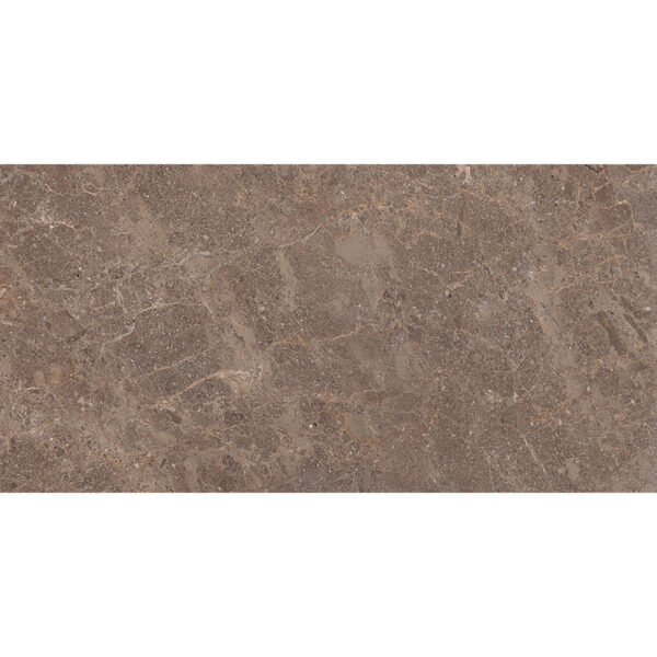 Fossil 30x60 Walnut Polished