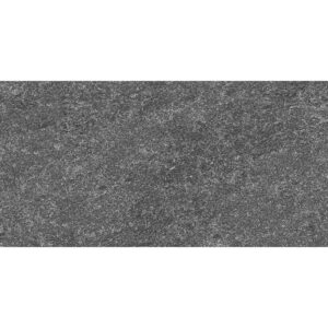 Himalaya 30x60 Graphite Matt R11