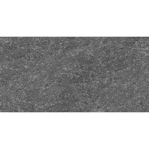Himalaya 30x60 Graphite Matt R11