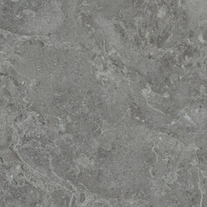 Ivy 60x60x2 Dark Grey Matt R11