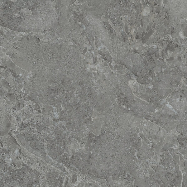 Ivy 60x60x2 Dark Grey Matt R11