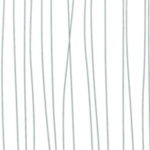 White String (d) PVC Ceiling Cladding
