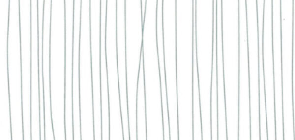 White String (d) PVC Ceiling Cladding