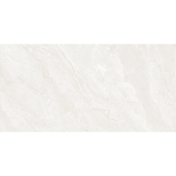 Zenith 30x60 Pearl Polished