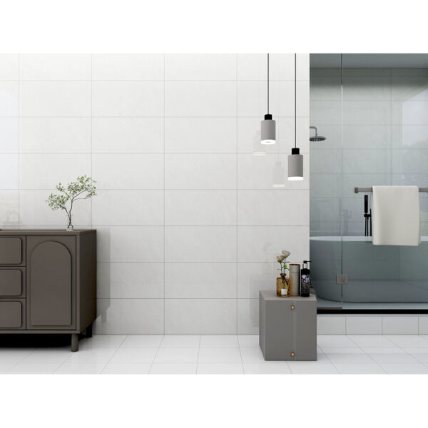 Zenith 30x60 Pearl Polished - Image 2